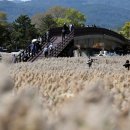 가을  노래연습장 이미지