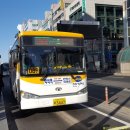 뉴대호운수 이미지