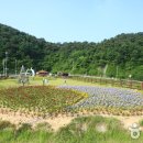 불갑축산 이미지