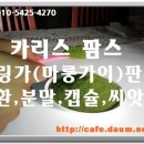 카리스팜스