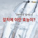 튀김부터 조림까지 만능 칼치의 놀라운 효능 5 이미지