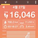 미성동-19 이미지