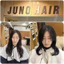 주노 헤어샵 | 대치동미용실 주노헤어 대치점에서 헤어컨설팅 받고 인생머리로 컷트한 후기