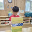 9월/일본의 다루마 오토시 이미지