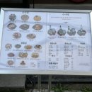 동행소주방 이미지