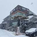 다연 정식 이미지