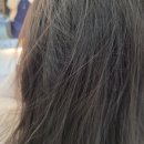 천연머리염색 세이프존 이미지