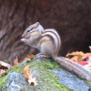 추곡약수터 이미지