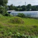 금마면-01 이미지