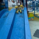 봄이네김밥 | [아이랑 괌] 봄이네 괌 [대한항공 괌/PIC괌]