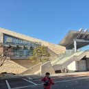 바니와 거북이 | 귀여움 폭발 경주 바니베어뮤지엄 후기, 힐링 제대로 하고 왔어요