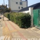 동일리-7 이미지