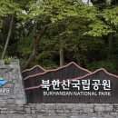 여명안경 이미지