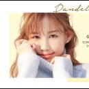 단델리온 이미지