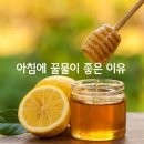 꿀물 이미지