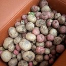 (주)부지런 이미지