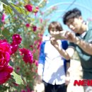 금성앵글