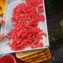 유경농장 이미지