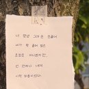 강릉본가족발