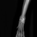 가경 나음 동물병원 이미지