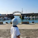 제주 디귿 이미지