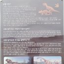 ♤:제32차 광주 마실 상족암 트레킹 산행 ♤ 이미지