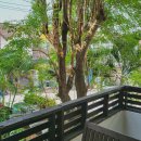 재복농장2 | 03. 뭔가 이상한 마사지를 받은 2일차 치앙마이 기록