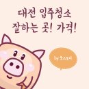 대전 입주청소 잘하는곳 비용 가격 견적 (2025년 기준)