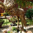 이화2공인중개사사무소 이미지