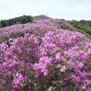 (주)다전 이미지