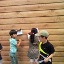 신등초등학교 이미지