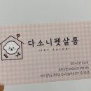 다소니펫살롱 이미지