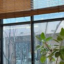 여의도진진 이미지