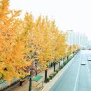 여주-1018 이미지