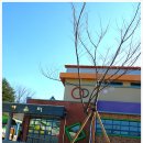 호산초교 이미지