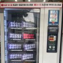 여기는로스트볼 이미지