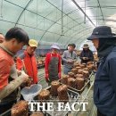 이경선농장 더팩트