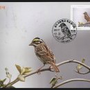 송도고등학교 이미지