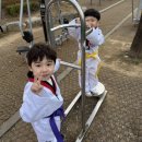 경희대효성태권도 이미지