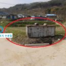 은산면사무소 이미지