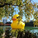 신천동 버스환승정류장2 이미지