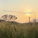 샘골공원2 이미지