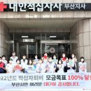 부산적십자회관 이미지