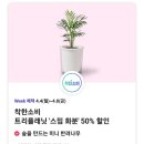 (주)데이세븐 이미지