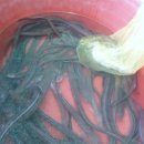 장요농장 이미지