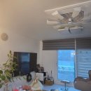 송이로1010 이미지