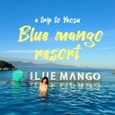 망고당 | 내돈내산 여수 여행 숙소 - 블루망고리조트 4계절 온수 수영장 후기