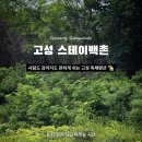 스테이백촌