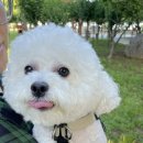 네오메디컬동물병원 이미지