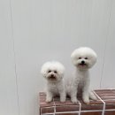 스테이한가로이 이미지